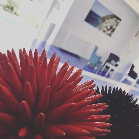 메트로폴 소렌토