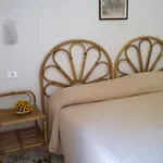 Metropole 4*