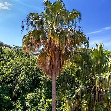 Metropole Sorrento