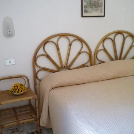 Metropole 4*